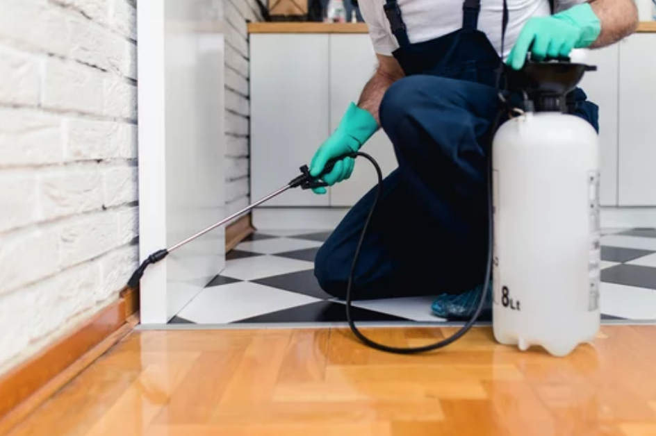 Vente de bouteilles de pulvérisation pour lutter contre les moustiques à Bron 69500