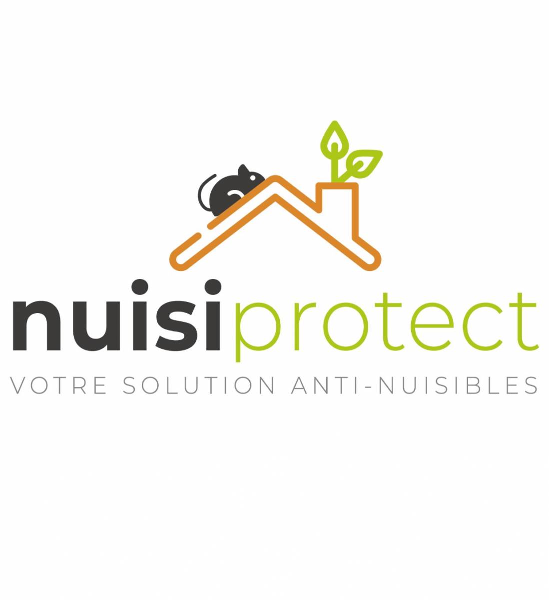 Réalisation d'un traitement efficace anti-puces à Saint-Priest 69800