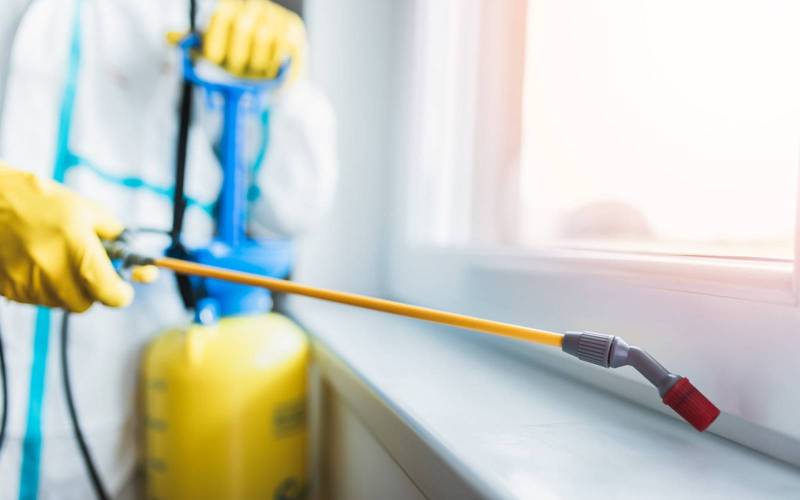 Entreprise de dératisation et désinsectisation à Lyon, pour lutter contre les nuisibles et désinfecter un bâtiment dans le Rhône