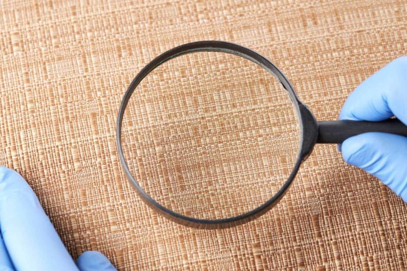 Service d'extermination de punaises de lit avec traitement thermique à Lyon