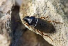 Nos prestations sur le secteur de à Saint-Priest 69800